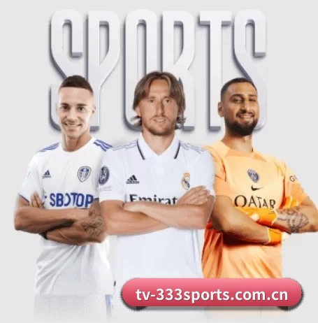tv-333sports.com.cn APP 界面