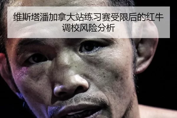 维斯塔潘加拿大站练习赛受限后的红牛调校风险分析